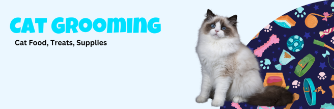 cats grooming