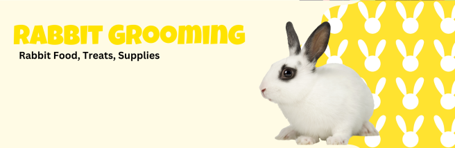 rabbit grooming