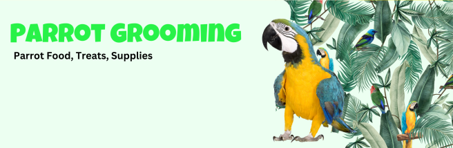 parrots grooming